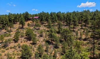 23251 Elk Trl, Aguilar, CO 81020