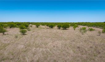 Fm 735, Alice, TX 78332