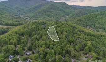 000 Buena Vista Dr 25, Barnardsville, NC 28709