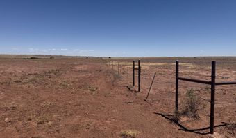 25 N County Road 8445, Concho, AZ 85924