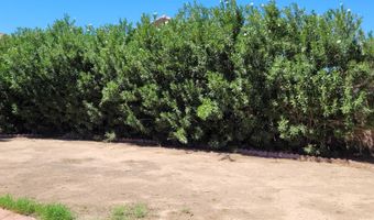 832 N Benson Ln, Chandler, AZ 85224