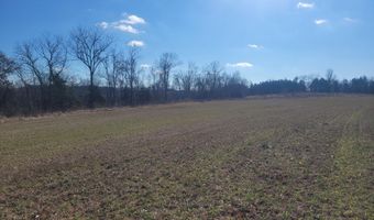 Hickory Flats Road, Ava, MO 65608