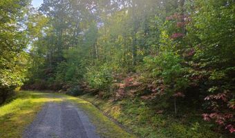 Fox Hollow Dr lot 17, Bastian, VA 24314