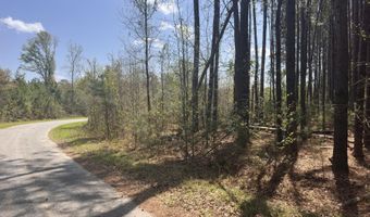 Tract 5 Smith Lane, Bowman, SC 29018