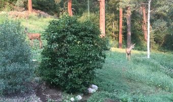 2237 Bear Creek Canyon Rd, Bayfield, CO 81122