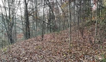 Kimiko Lane lot 43, Balsam Grove, NC 28708