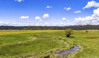 17 Gray Ln, Cascade, ID 83611