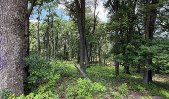 81 CABIN Rd, Augusta, WV 26704