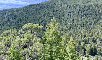 Nhn Lost Creek Rd, Anaconda, MT 59711