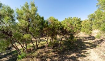 59855 Reynolds Way, Anza, CA 92539