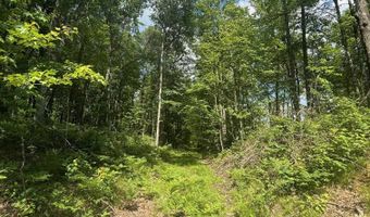 SWAN BAY Road 6, Amberg, WI 54102