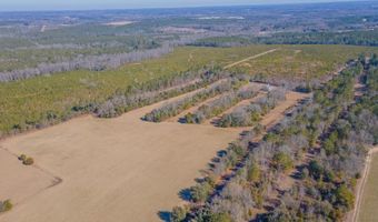 185 Peach Cider Rd, Batesburg Leesville, SC 29006