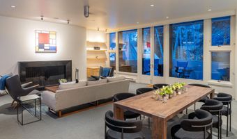 506 W Hallam St, Aspen, CO 81611