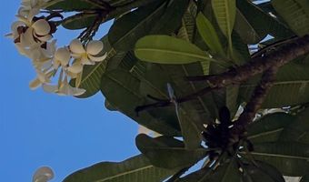 111 KAHULUI BEACH Rd D112, Kahului, HI 96732
