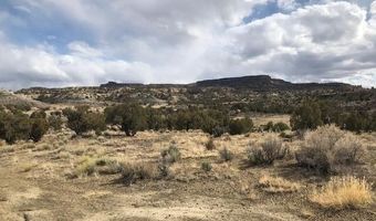 Xx ROAD 4990, Bloomfield, NM 87413