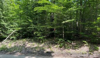 59- G1 Fernwood Farms Rd, Canaan, NH 03741