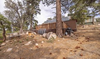 4535 Ironwood, Angelus Oaks, CA 92305