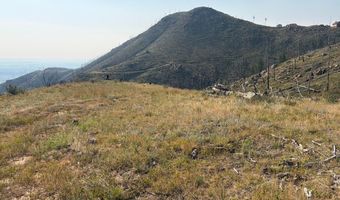Pine Acres Rd, Bellvue, CO 80512