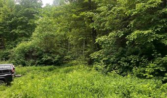 40 Acres The Grade, Amasa, MI 49920