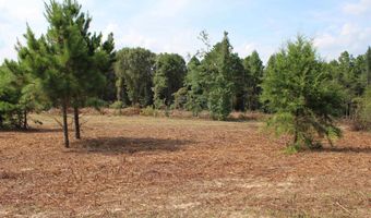 TBD CR 314, Henderson, TX 75652