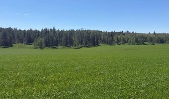 4935 E 900 N, Ashton, ID 83420