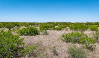 FM 735, Alice, TX 78332