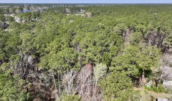 0 Lot 1 Creek Place Rd, Arapahoe, NC 28510