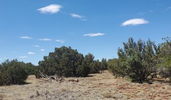 17 County Road 8077, Concho, AZ 85924