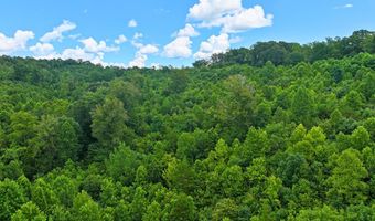 Airport Rd lot 0, Bassett, VA 24055