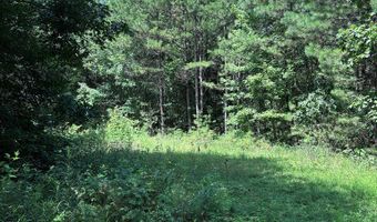 North Palestine Road, Baldwyn, MS 38824