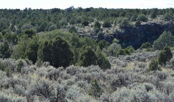 Matisse Road, Carson, NM 87517