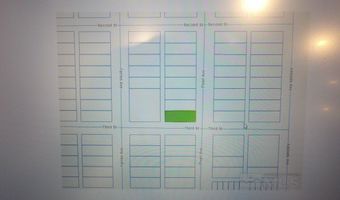 N Pearl Avenue, Golconda, NV 89414