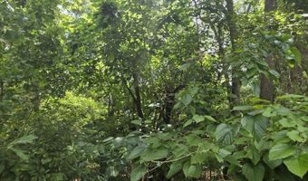 River Rd, Bascom, FL 32423