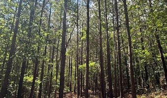 Piney Mountain Rd, Appomattox, VA 24522