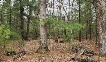 Dyke Avenue lot 8, Adams, WI 53910