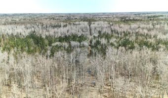 5280 Cathro Rd, Alpena, MI 49707