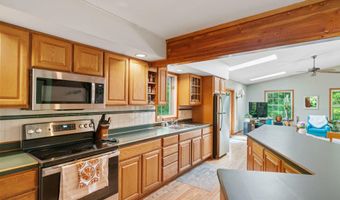 9707 ROGERS Rd, Alanson, MI 49706