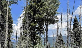 Lot 22 Hinz Drive, Angel Fire, NM 87710