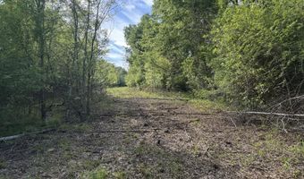 1311 N Jackson St, Brookhaven, MS 39601