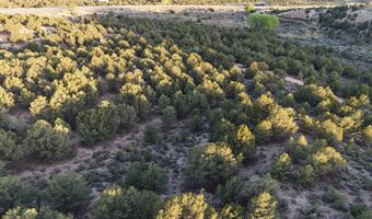 Unk Sandia Canyon Rd, Arroyo Hondo, NM 87513