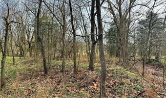 7182 Lawrence 1187, Ash Grove, MO 65604