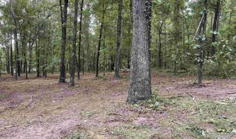 1 CENTURAS Cir 2, Alpine, AL 35014