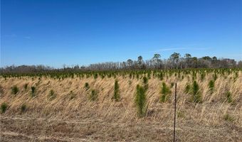 Tract 19 Sellers Road NW, Baxley, GA 31513
