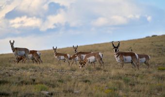 Sheep Mountain Road, Centennial, WY 82070
