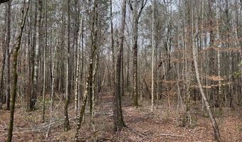 1365 Mickle Smith Trl, Bogue Chitto, MS 39629