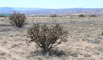 BRIDLE Trail, Abiquiu, NM 87510