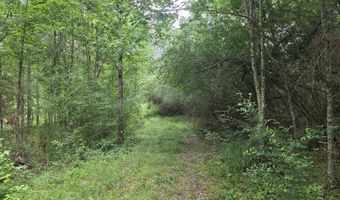 1542 Wellman Dr, Brookhaven, MS 39601