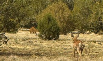 W Mile High Rd Lot C 10 Acres, Ash Fork, AZ 86320