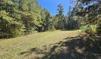 7501 Rainey Morris Rd, Appling, GA 30802