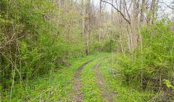 E Captina Highway Road, Alledonia, OH 43902